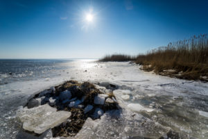 Winter at the frozen lake with sun in the backlight and Schilff on the shore Winter at the frozen lake with sun in the backlight and Schilff on the shore