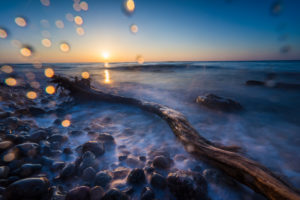 Baltic sea at evening light and long exposure, setting sun lights branches and stones in the sea water Baltic sea at evening light and long exposure, setting sun lights branches and stones in the sea water