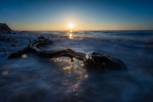 Baltic sea at evening light and long exposure, setting sun lights branches and stones in the sea water Baltic sea at evening light and long exposure, setting sun lights branches and stones in the sea water