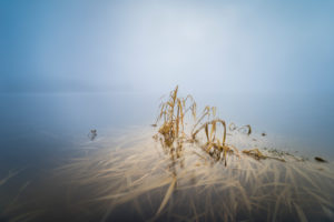 Fog over the water Fog over the water