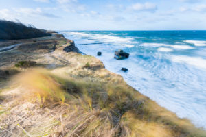 Baltic sea coast with beach grass in winter Baltic sea coast with beach grass in winter