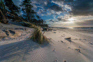 Baltic sea coast with beach grass in the evening light, winter Baltic sea coast with beach grass in the evening light, winter