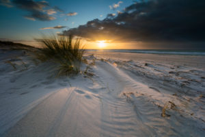 Baltic sea coast with beach grass in the evening light, winter Baltic sea coast with beach grass in the evening light, winter