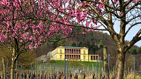 Villa Ludwigshöhe near Edenkoben, Palatinate, Palatinate Wine Route, Rhineland-Palatinate, Germany Villa Ludwigshöhe near Edenkoben, Palatinate, Palatinate Wine Route, Rhineland-Palatinate, Germany