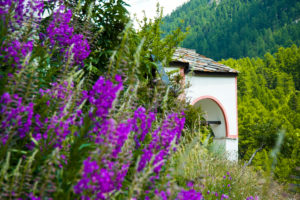 Kapelle auf dem Blatten mit Blumen im Vordergrund, Wallis, Schweiz Kapelle auf dem Blatten mit Blumen im Vordergrund, Wallis, Schweiz