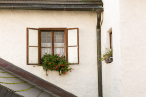 Window, opened, plants, facade, flowerpot Window, opened, plants, facade, flowerpot