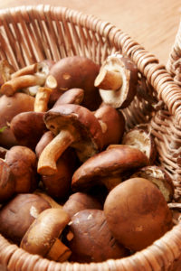 Ernährung, Gesundheit, Healthy Food, Pilze Ernährung, Gesundheit, Healthy Food, Pilze