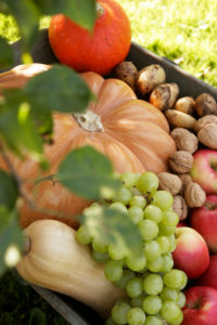 Nutrition, Health, Healthy Food, Fruits and Vegetables Nutrition, Health, Healthy Food, Fruits and Vegetables