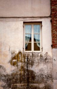 Fenster, Haus, Lucca, Toskana, Italien Fenster, Haus, Lucca, Toskana, Italien