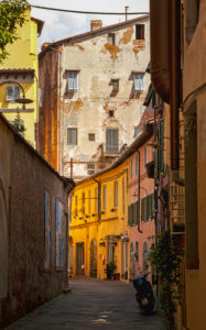 Haus, Gasse, Lucca, Toskana, Italien, Stadt Haus, Gasse, Lucca, Toskana, Italien, Stadt