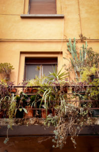 Haus, Balkon, Pisa, Toskana, Italien Haus, Balkon, Pisa, Toskana, Italien