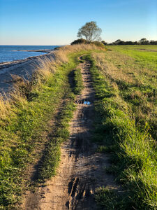 Pommerby, Baltic Sea, plants, water, sea, coast, Geltinger Bucht, northern Germany, landscape, Schleswig-Holstein, Germany