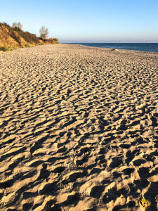 Kronsgaard, Baltic Sea, beach, water, sea, coast, Geltinger Bay, northern Germany, landscape, Schleswig-Holstein, Germany