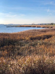 Schleimünde nature reserve, landscape, Baltic Sea, coast, sea, Schlei, plants, Maasholm, Northern Germany, Schleswig-Holstein, Germany