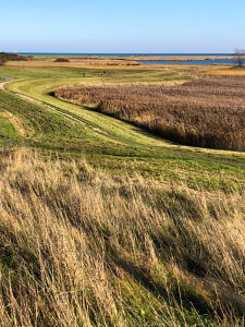 Schleimünde nature reserve, landscape, Baltic Sea, coast, sea, Schlei, plants, Maasholm, Northern Germany, Schleswig-Holstein, Germany