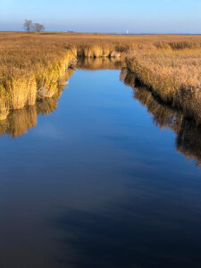 Schleimünde nature reserve, landscape, Baltic Sea, coast, sea, Schlei, plants, Maasholm, North Germany, Schleswig-Holstein, Germany