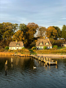 Kappeln, Rabel, jetty, coast, swan, Schlei, house, Maasholm, Northern Germany, Rabelsund, Schleswig-Holstein, Germany