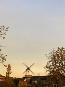 Kappeln, Mill Amanda, Windmill, Historical, Amanda, Schlei, Building, Mill, Northern Germany, Gallery Dutch, Schleswig-Holstein, Germany