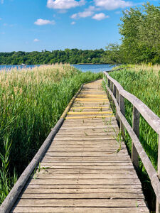 Travemünde, hiking trail, Priwall, boardwalk, nature reserve, Pötenitzer Wiek, circular trail, Hanseatic city of Lübeck, northern Germany, landscape, Bay of Lübeck, Schleswig-Holstein, Germany