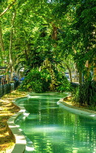 Portugal, Lisbon (Lisboa), street scene, summer, small park at Avenida de Liberdade