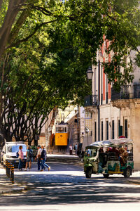 Portugal, Lisbon (Lisboa), street scene, summer, small park at Avenida de Liberdade Portugal, Lisbon (Lisboa), street scene, summer, small park at Avenida de Liberdade