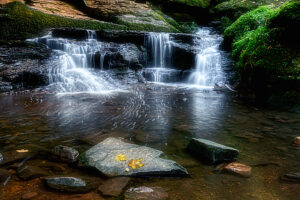 Monbachschlucht, Bad Liebenzell, Baden-Württemberg, Germany