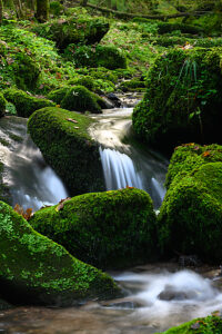 Monbachschlucht, Bad Liebenzell, Baden-Württemberg, Germany