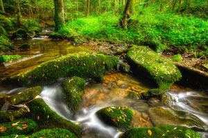 Monbachschlucht, Bad Liebenzell, Baden-Württemberg, Germany