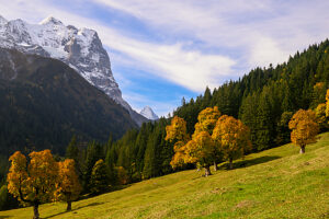 Rosenlaui Valley, Bernese Oberland, Switzerland