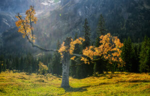 Rosenlaui Valley, Bernese Oberland, Switzerland