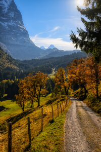 Rosenlaui Valley, Bernese Oberland, Switzerland