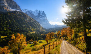 Rosenlaui Valley, Bernese Oberland, Switzerland