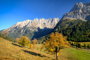 Engelhörner, Rosenlaui Valley, Bernese Oberland, Switzerland