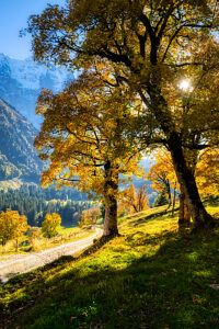 Rosenlaui Valley, Bernese Oberland, Switzerland