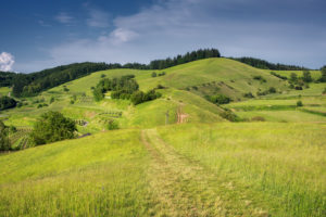Deutschland, Kaiserstuhl, Weinberge und Hügel im Frühling Deutschland, Kaiserstuhl, Weinberge und Hügel im Frühling