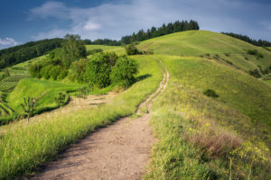 Deutschland, Kaiserstuhl, Weinberge und Hügel im Frühling Deutschland, Kaiserstuhl, Weinberge und Hügel im Frühling