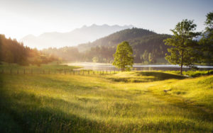 Deutschland, Bayern, Goldenes Licht am Morgen, Bergsee und Wiese Deutschland, Bayern, Goldenes Licht am Morgen, Bergsee und Wiese