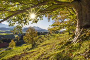 Autumn in the Allgäu Region Autumn in the Allgäu Region