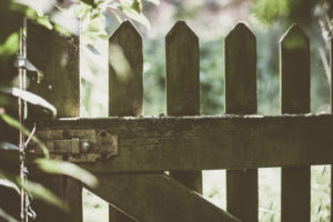 Garden fence, detail Garden fence, detail