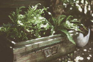 Im Garten Im Garten