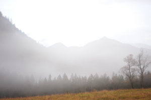 Nebelige Berglandschaft mit Ahornbäumen Nebelige Berglandschaft mit Ahornbäumen