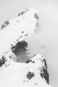 Eine Gruppe Gämsen bei Schlechtwetter im Winter an einem Berghang der Soierngruppe im Karwendel. Im Hintergrund die Schöttelkarspitze. Eine Gruppe Gämsen bei Schlechtwetter im Winter an einem Berghang der Soierngruppe im Karwendel. Im Hintergrund die Schöttelkarspitze.