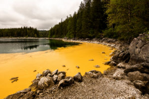 Pollen von Fichten färben das Ufer des Eibsee an der Zugspitze gelb, wie als wenn jemand Eimerweise Farbe in den schönen Natursee gekippt hätte. Einzelne Felsen stehen daraus hervor. Pollen von Fichten färben das Ufer des Eibsee an der Zugspitze gelb, wie als wenn jemand Eimerweise Farbe in den schönen Natursee gekippt hätte. Einzelne Felsen stehen daraus hervor.