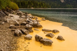 Pollen von Fichten färben das Ufer des Eibsee an der Zugspitze gelb, wie als wenn jemand Eimerweise Farbe in den schönen Natursee gekippt hätte. Einzelne Felsen stehen daraus hervor. Pollen von Fichten färben das Ufer des Eibsee an der Zugspitze gelb, wie als wenn jemand Eimerweise Farbe in den schönen Natursee gekippt hätte. Einzelne Felsen stehen daraus hervor.