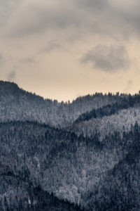 Snow covered hills / mountains at the foot of the Herzogstand in the Ester Mountains on Lake Walchensee, with dense forest Snow covered hills / mountains at the foot of the Herzogstand in the Ester Mountains on Lake Walchensee, with dense forest