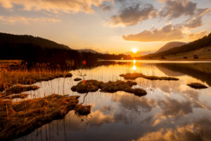 Spring sunset at Geroldsee on the shore with reed island with clouds Spring sunset at Geroldsee on the shore with reed island with clouds