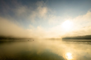 Kayakfahrer bzw. Renn-Skiff fahrer mit speziellen Wettkampfbooten genießen am frühen Morgen während Sonnenaufgang eine Fahrt am Sylvensteinspeicher, während Nebel und Lichtstimmung. Kayakfahrer bzw. Renn-Skiff fahrer mit speziellen Wettkampfbooten genießen am frühen Morgen während Sonnenaufgang eine Fahrt am Sylvensteinspeicher, während Nebel und Lichtstimmung.