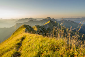 Der Grat zwischen Sonntagsspitze und Schreckenspitze im Karwendel, in den tiroler Alpen am Achensee im warmen Morgenlicht eines Spätsommertages mit hohem Gras bzw. Bergwiese. Der Grat zwischen Sonntagsspitze und Schreckenspitze im Karwendel, in den tiroler Alpen am Achensee im warmen Morgenlicht eines Spätsommertages mit hohem Gras bzw. Bergwiese.