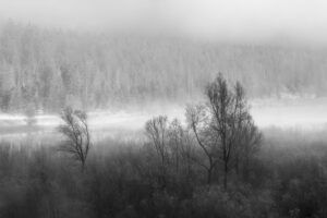 Hoarfrost and fog over the pastures on the shore of the Sylvenstein reservoir in the Bavarian Alps at the edge of the Karwendel mountains near Lengries.