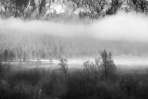 Hoarfrost and fog over the pastures on the shore of the Sylvenstein reservoir in the Bavarian Alps at the edge of the Karwendel mountains near Lengries.